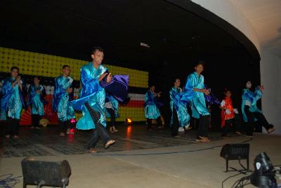 apae 1 400 x 300