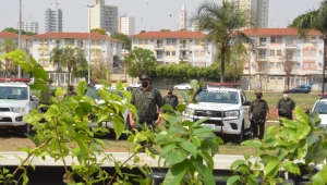 Atividades marcam Dia da Árvore e Dia do Policial Ambiental