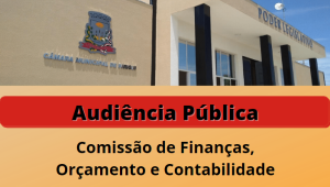 Comissão analisa balancete de 2020 em audiência pública 