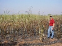 Vadão da Farmácia visita área queimada em canavial localizado no bairro Planalto