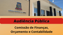 Comissão analisa balancete de 2020 em audiência pública 